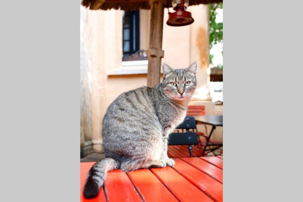 La Copac Cozy Stay บูคาเรสต์ ภายนอก รูปภาพ